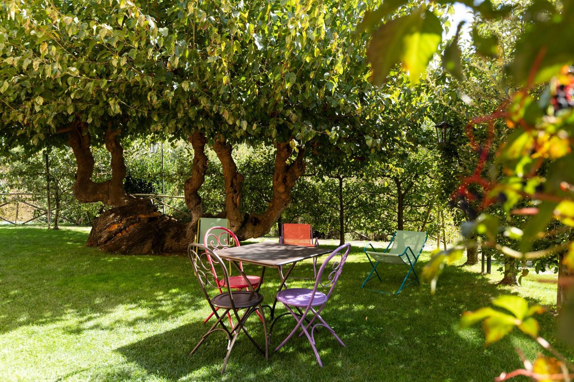 Agriturismo I Gelsi Di Santa Cristina กุบบีโอ ภายนอก รูปภาพ